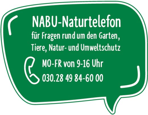 Banner NABU Naturtelefon