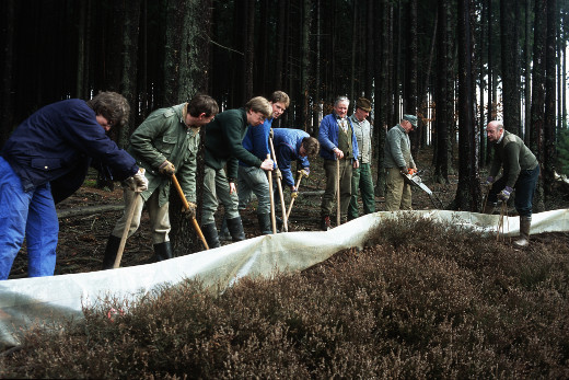 Errichtung eines Amphibienzauns Helfer stehen in einer Reihe hinter der Plastikplane des Amphibienschutzzauns, arbeiten mit Spaten und bücken sich nach vorn