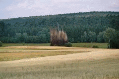 Auf mehreren Bildern ist die Sprengung zu sehen: Erst fliegt die Erde in die Luft, dann wieder herunter, der Staub verzieht sich.