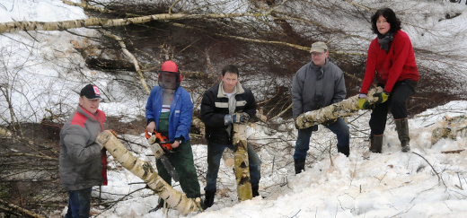 Mitglieder des NABU Burgwald tragen gemeinsam Birkenstämme aus dem Gelände.
