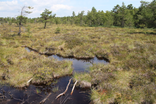 20110709_marion_urlaub_wuestensachsen_313_520x347