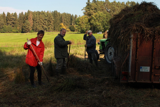 Marion Chmelar, Martin Scholz und Klaus Klimaschka gabeln Grasschnitt auf den Wagen.