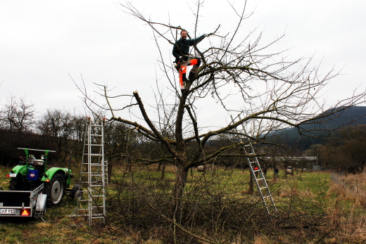 20160319_nabu_obstaumschnitt_moorsgrund_002_520x347