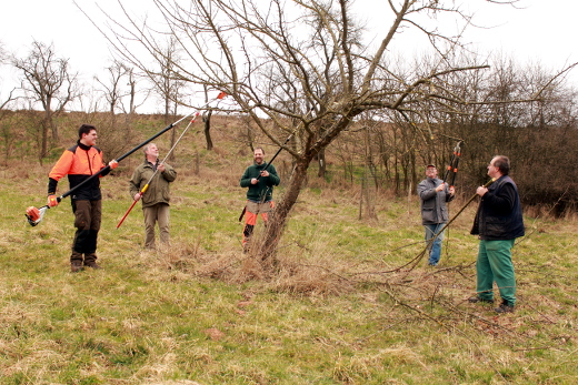 20160319_nabu_obstaumschnitt_moorsgrund_015_520x347 20160319_nabu_obstaumschnitt_moorsgrund_015_520x347