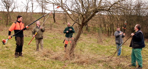 Baumschnitt im Moorsgrund 2016