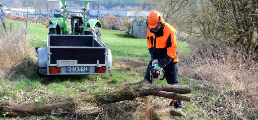 Matthias Hupfeld zerlegt einen Baum mit der Motorsäge