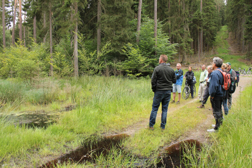 20180624_nabu_burgwaldmoore_014_520x347 20180624_nabu_burgwaldmoore_014_520x347