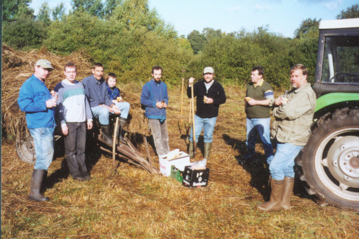 20031004_nabu_feuchtwiesenpflege_seitenbruch_004_520x347