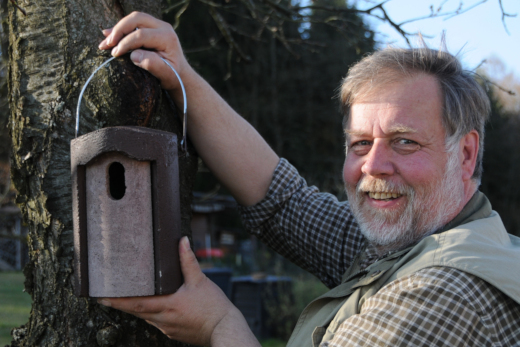 20110401_nabu_gartenrotschwanz_001_520x347